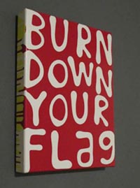 burn down your flag