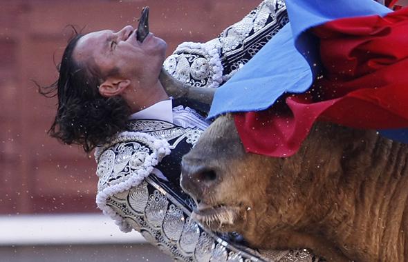 le torero espagnol Julio Aparicio encorné