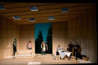 Le Canard sauvage, par Braunschweig - #théâtre