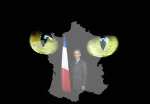 sarkozy chat noir